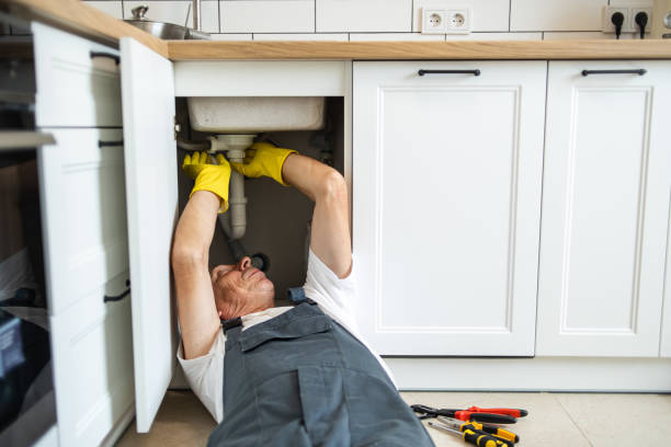 Best Local Plumber Services  in Kingsley, IA